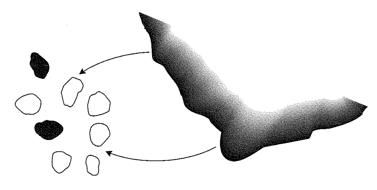 :scale 70%