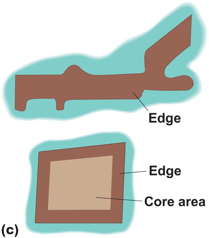 :scale 50%