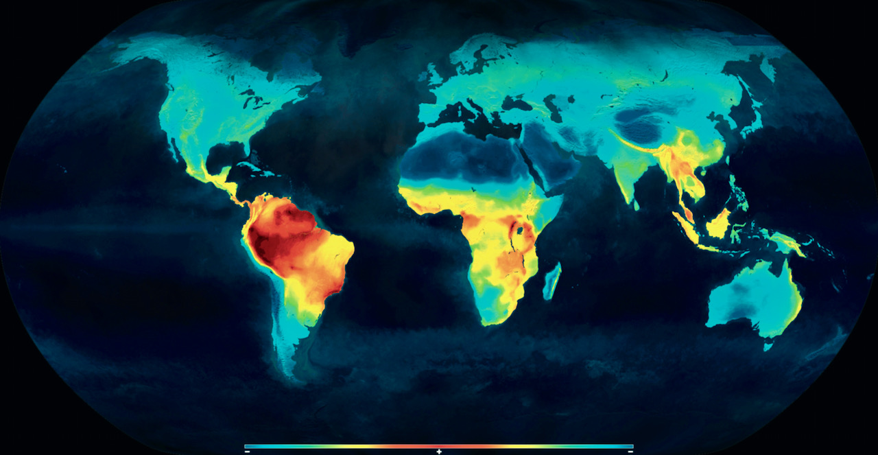Latitude gradient of biodiversity