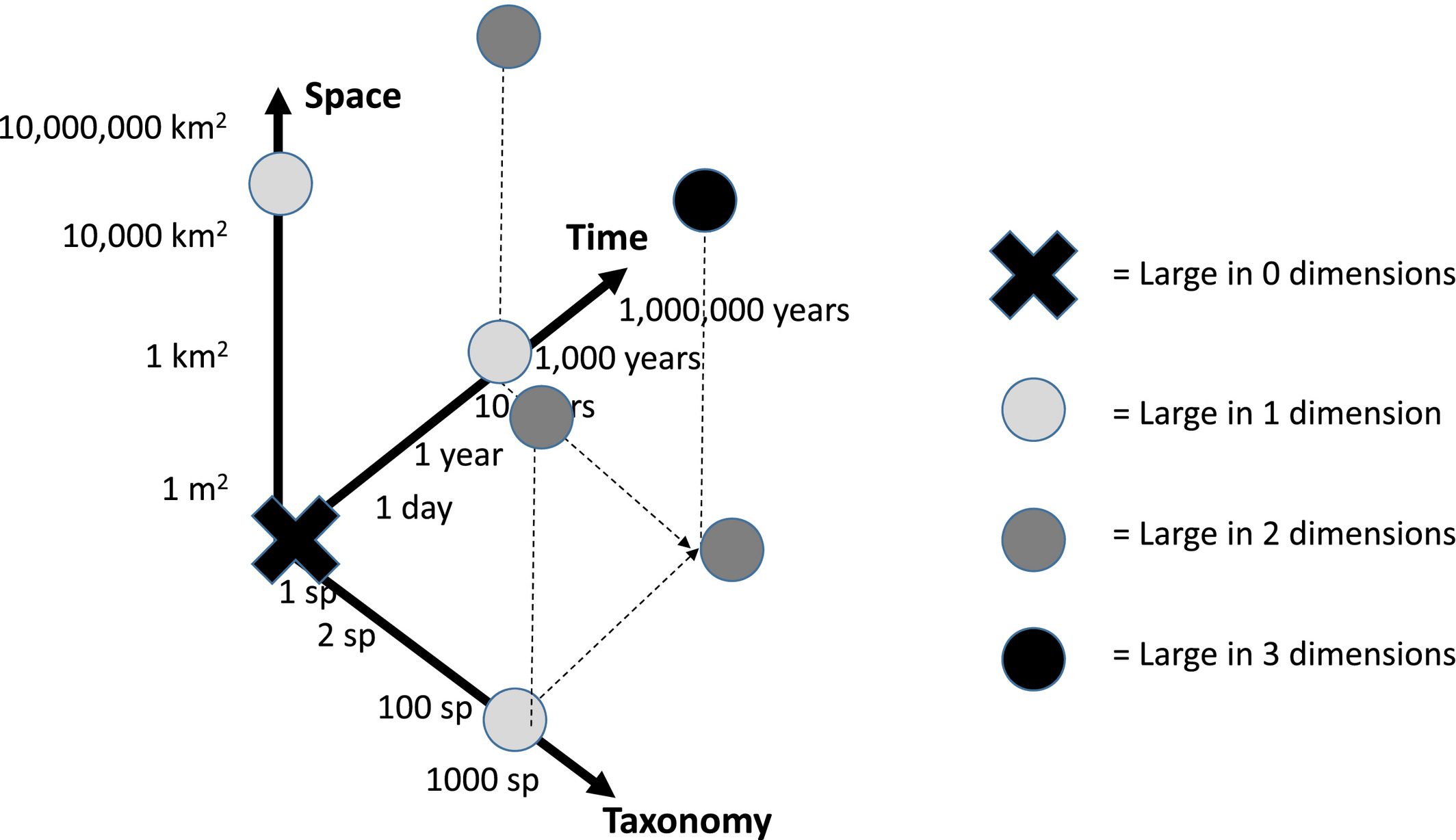 The dimensionality of macroecology. Figure taken from McGill (2019) https://doi.org/10.1111/geb.12855.